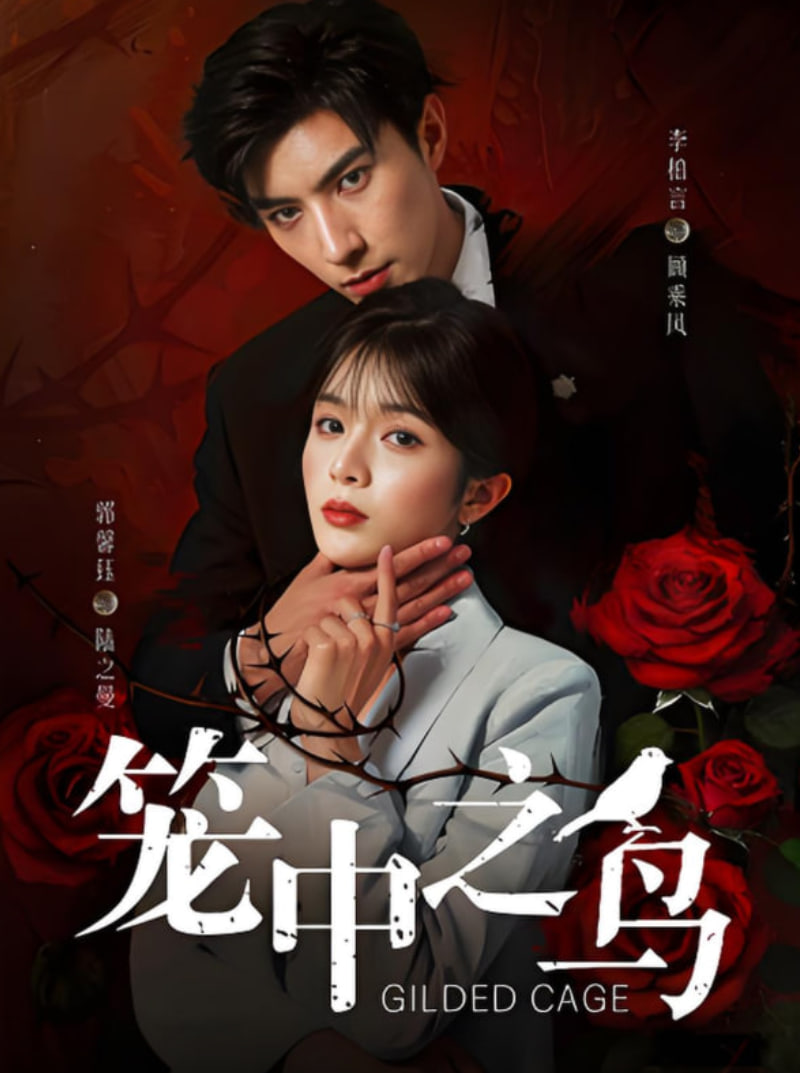 籠中之鳥(全集)