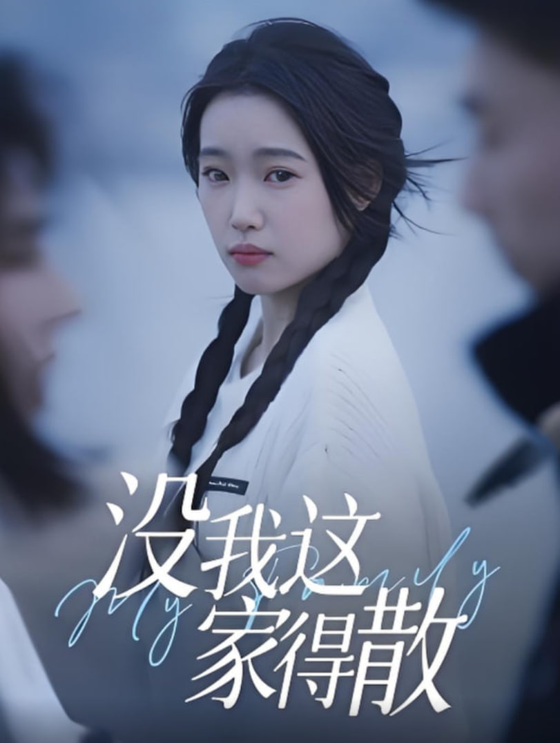 沒我這家得散(全集)