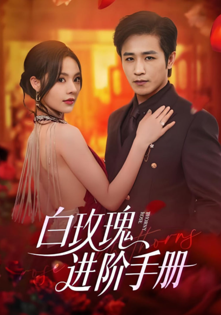 白玫瑰進(jìn)階手冊(全集)