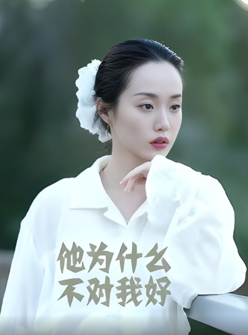 他為什么不對我好(全集)