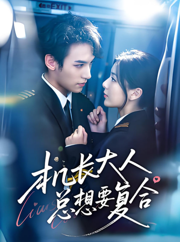 機(jī)長大人總想要復(fù)合(全集)