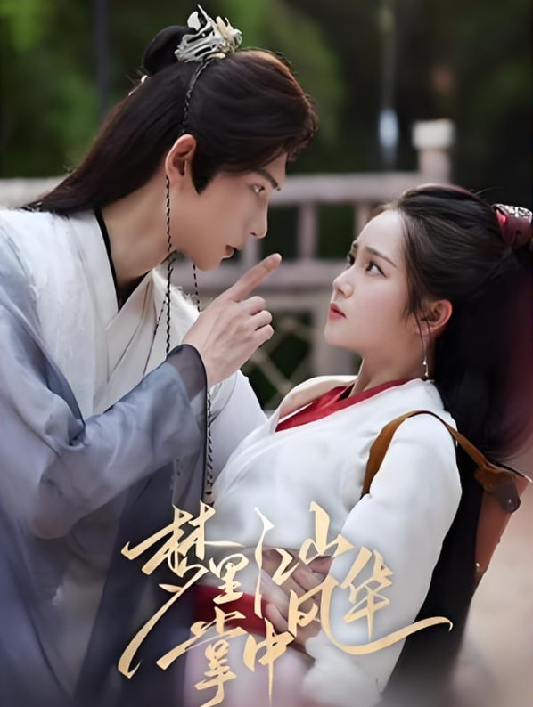 夢(mèng)里江山掌中風(fēng)華(全集)