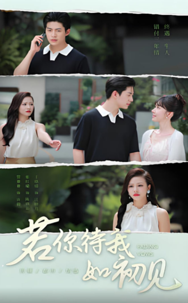 若你待我如初見(全集)