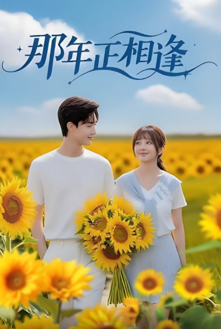 那年正相逢(全集)