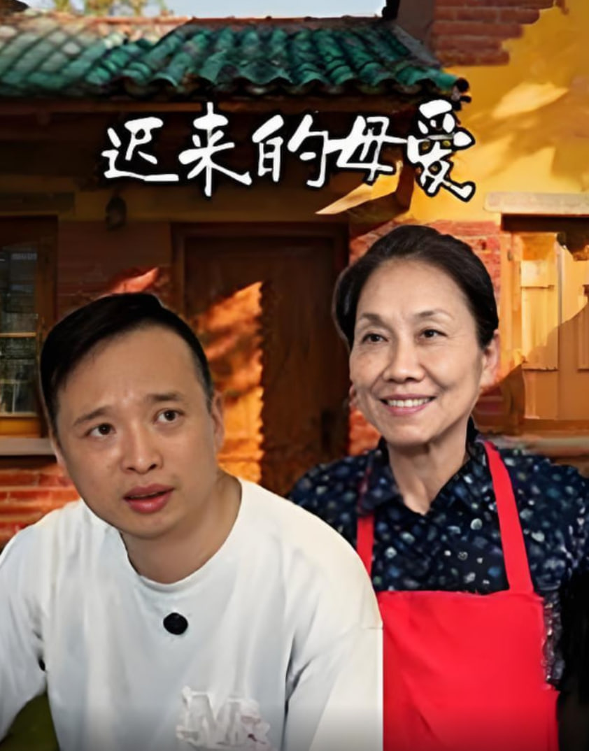 遲來(lái)的母愛(ài)(全集)