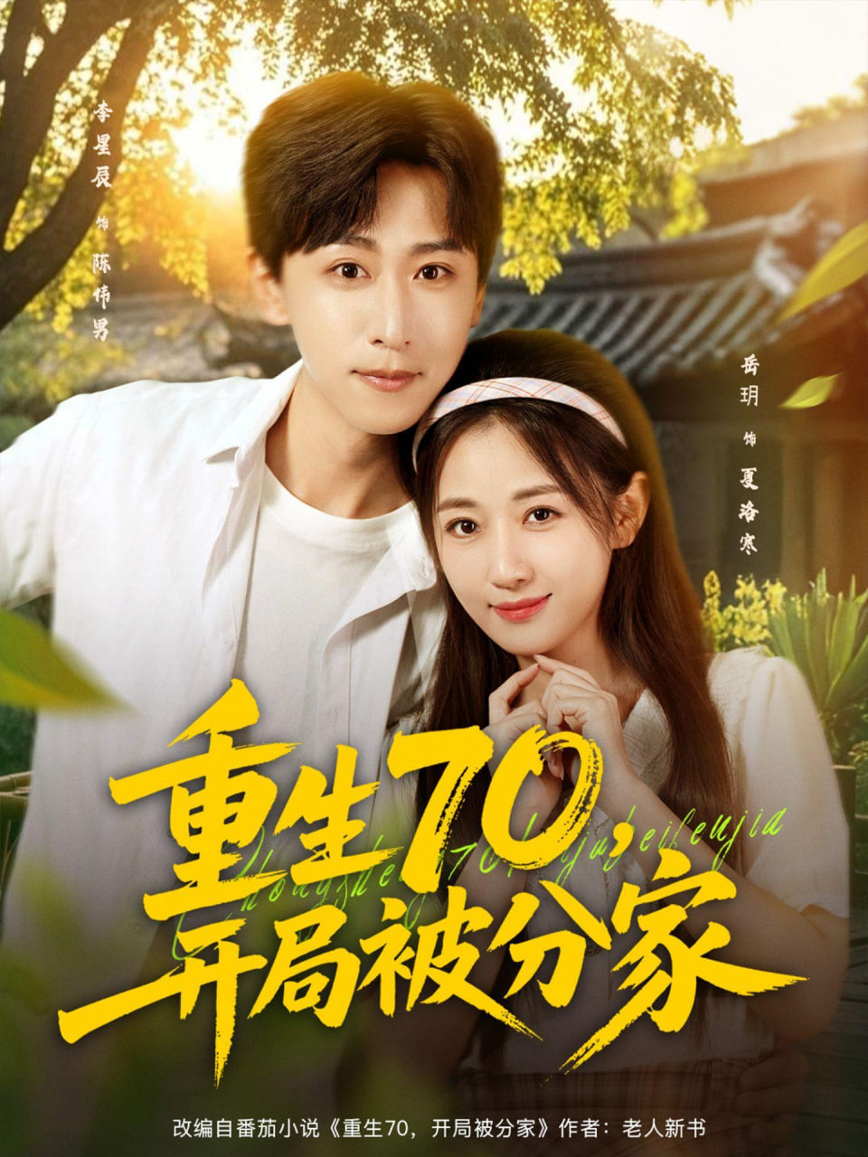 重生70，開局被分家(全集)