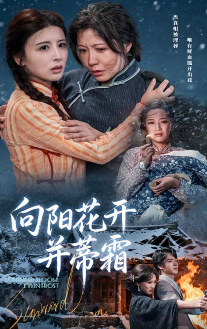 向陽花開并蒂霜(全集)