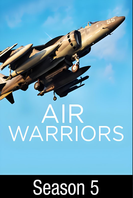 戰(zhàn)機：空中勇士 第五季(全集)