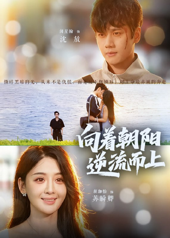 向著朝陽逆流而上(全集)