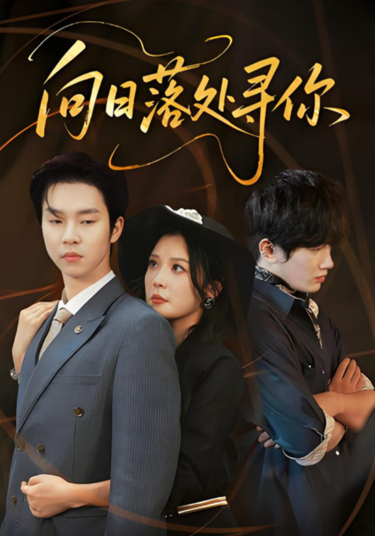 向日落處尋你(全集)